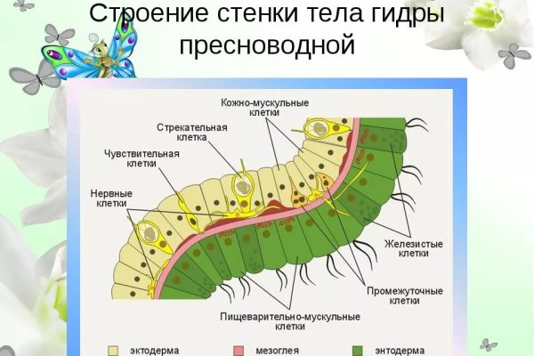 Кракен сайт как зайти