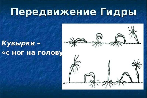 Kraken сайт зеркала