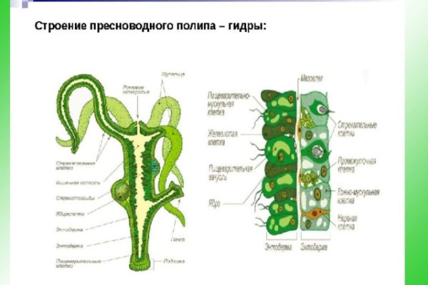 Kraken 4 ссылка kr2web in